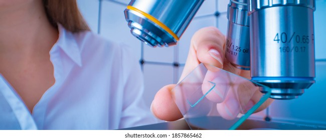 Scientist analyzing microscope slide at laboratory. Young woman technician is examining a histological sample, a biopsy in the laboratory of cancer research - Powered by Shutterstock