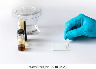 A scientist applies sample solution onto a Thin Layer Chromatography (TLC) plate using a capillary tube for laboratory analysis and separation.