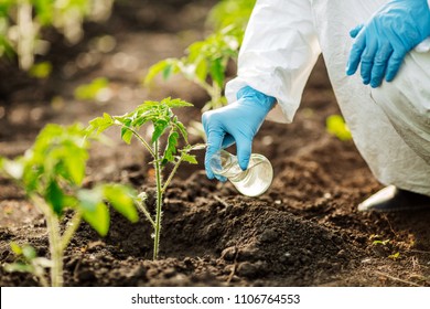 Scientist assessing the quality of the soil. The concept of soil quality and farming - Powered by Shutterstock