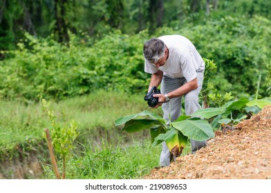 Scientist With Camcoder Studying Plant Desease