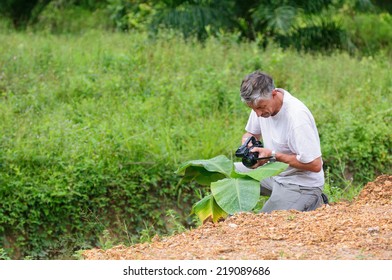 Scientist With Camcoder Studying Plant Desease