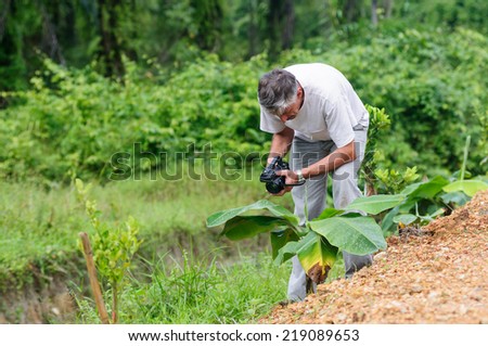 Scientist with camcoder studying plant desease