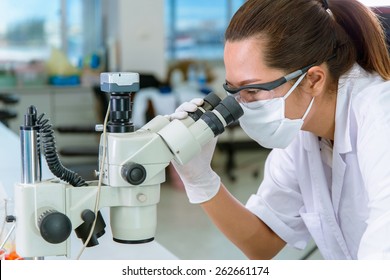 Scientist Checking With Microscope