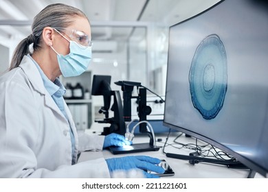 924 Scientist Looking Computer Screen Images, Stock Photos & Vectors ...