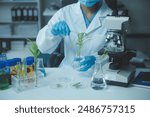 Scientist cutting plant tissue culture in petri dish, performing laboratory experiments. Small plant testing. Asparagus and other tropical plant. Thailand. Soft light, close-up.