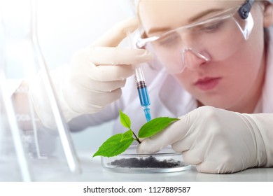 Scientist Do Biochemistry Analysis