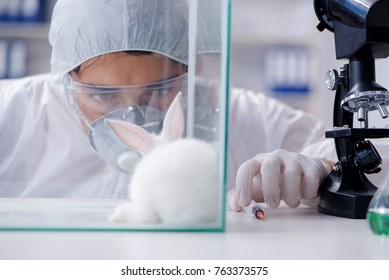 do scientists experiment on animals