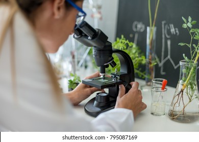 Scientist Doing Research On Plants