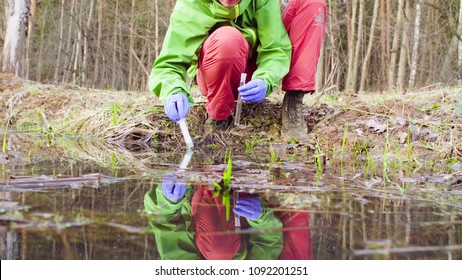 Scientist Ecologist In The Forest Taking Sample Of Water For Chemical Analysis.