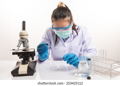 Scientist Equipment Science Experiments Stock Photo 253425112 ...