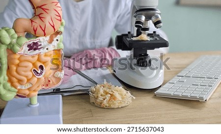 Scientist examines gut microbiome samples with microscope and model of human digestive system in laboratory setting