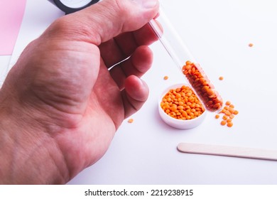 The Scientist Examines The Seeds. Checking Plants For Diseases. Seed Inspection Before Planting. Crossbreeding And Breeding Of New Species. An Agronomist Checks The Seed Before Sowing.