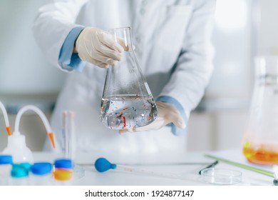 Scientist Examining Microplastic Particles In A Water Sample