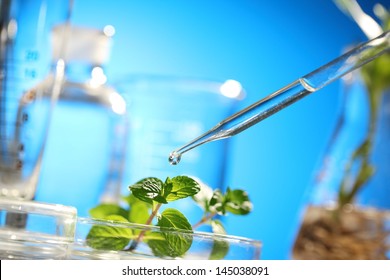 Scientist examining samples with plants