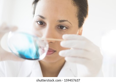 Scientist examining solution in petri dish at a laboratory - Powered by Shutterstock