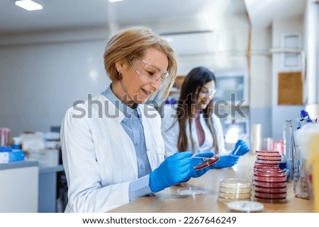 Scientist examining solution in petri dish at a laboratory. Lab Scientist Examining and using Petri Dish. Lab Experiment.Researcher examining cultures in petri dishes