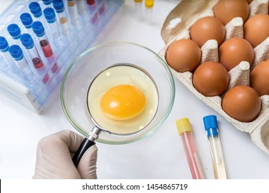 Scientist Examining Yolk Magnifying Glass Eggs Stock Photo 1454865719 ...