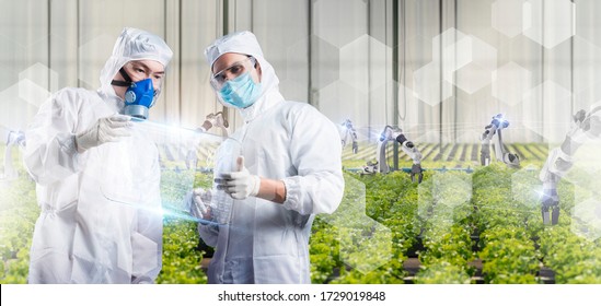 Scientist Farmer Growing Plant In Green House Lab With IOT Based Smart Agriculture Monitoring System, Automate Sensor Robotic GMO Free Farming Industry Future Internet Of Thing Technology. 