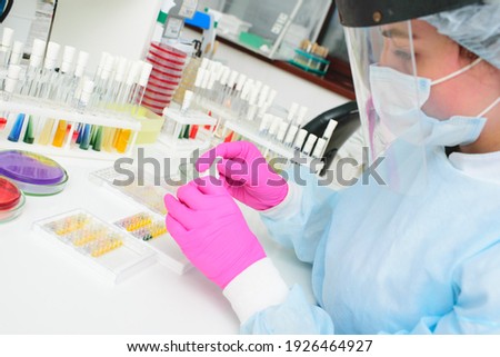 A scientist fills a Petri dish with a layer of nutrient medium and cultivates colonies of microorganisms. Bacteriological laboratory, bacterial analysis