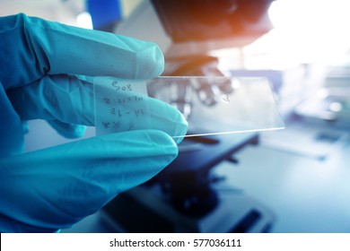 Scientist Hand Holding Laboratory Test Slide With Soft Focus