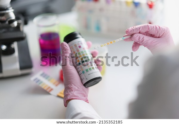 Scientist hold litmus test
paper for soil analysis, litmus paper show acidity, chemical
analysis