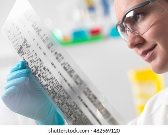 Scientist Holding DNA Autoradiogram In Laboratory