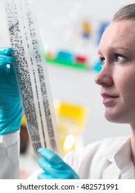 Scientist Holding DNA Autoradiogram In Laboratory