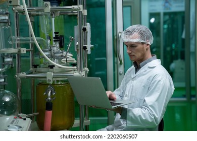 Scientist Holding Laptop And Controlling Rotational Vaporizer During Oil Extraction. Hemp Oil Extraction Process.