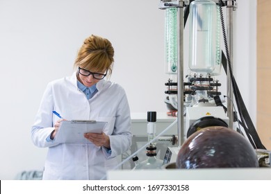 Scientist holding paper board and controlling rotational vaporizer during CBD oil extraction. Machine has green condenser and rotational flask where CBD hemp oil extraction is in process.