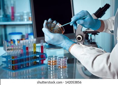 A scientist holding a petri dish in the lab with a monitor and microscope in background. - Shutterstock ID 142053856