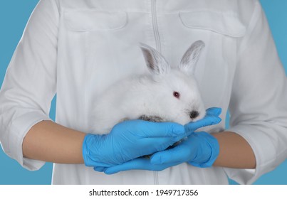 Scientist holding rabbit on light blue background, closeup. Animal testing concept - Powered by Shutterstock