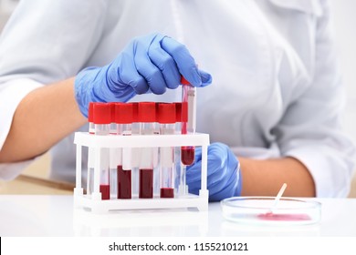 Scientist Holding Test Tube With Blood Sample At Table In Laboratory