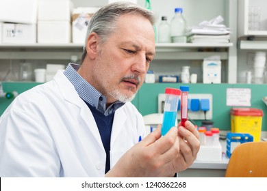 Scientist Holding A Test Tube In His Laboratory