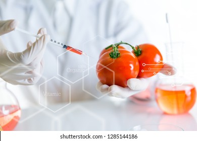 Scientist is holding a tomato and sampling chemical extract from organic natural, research and develop background, Scientific concept is sample project essential from herbal medicine, health&beauty