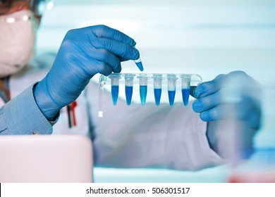 Scientist Holding Tube And Working With Laptop At Genetic Lab / Hands Of Biomedical Engineering Genetic Working In Laboratory