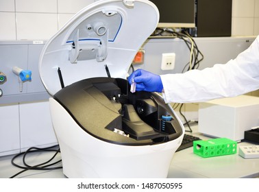 Scientist inserts a sample to a cuvette in spectrometer.  of Organic and Biochemistry.