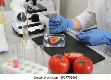 Scientist inspecting tomato in laboratory, closeup. Food quality control - Powered by Shutterstock