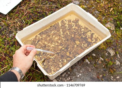 A Scientist Inspecting A Water Sample During An Environmental Impact Analysis. 