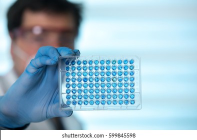 Scientist in lab holding a 96 well plate for analysis / researcher in the laboratory holding samples in microplate