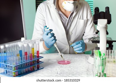 A scientist in the lab holding pipettor and depositing sample the urine in petri dish with a monitor and microscope in background