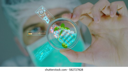 A scientist in a laboratory analyzes the soil and the plants inside  to collect the plant DNA. Concept: analysis, dna, bio, microbiology, augmented reality, biochemistry, immersive technology
