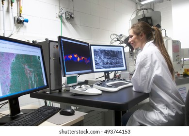 Scientist looking at images from SEM microscope