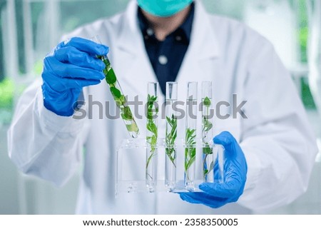 Scientist looking a sample of plants in test tube. Concept of botanical, chemistry, ecology and biology laboratory. Environmental and sustainability green energy experiment research. Medical glassware