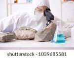 Scientist looking and stone samples in lab