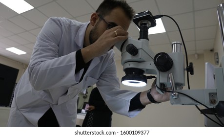 Scientist looking through a microscope in a laboratory