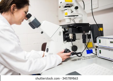 Scientist looking through a microscope at the laboratory