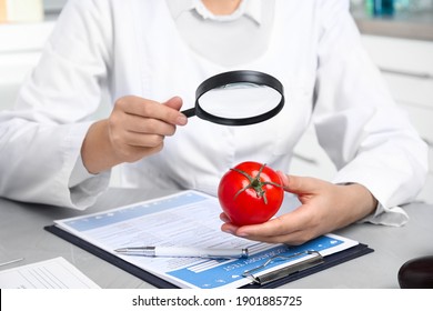 4,911 Tomato testing Images, Stock Photos & Vectors | Shutterstock