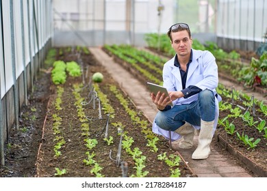 Scientist male sitting portrait in vegetable greenhouse of organic farm , Techonology and Science for aggriculture to increase product.