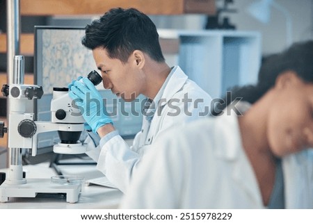Scientist, man and microscope analysis in lab for medical research, botany investigation and plant science. Healthcare, person and teamwork for medicine treatment, biomedicine experiment and biology