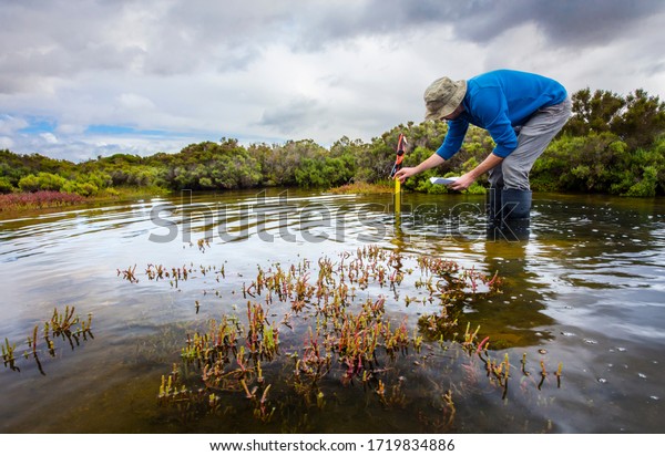 Scientist measuring water depth to\
install water level data loggers in a coastal wetland  to\
understand inundation period and impact on ecosystem\
services.